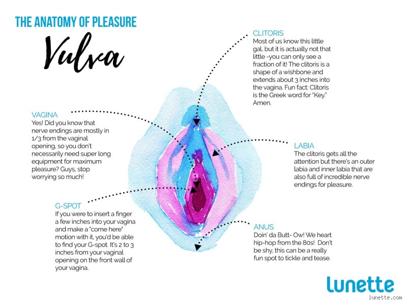 The Geography of Desire: Unveiling What Is the Most Pleasurable Area for a Woman Beyond the Myths