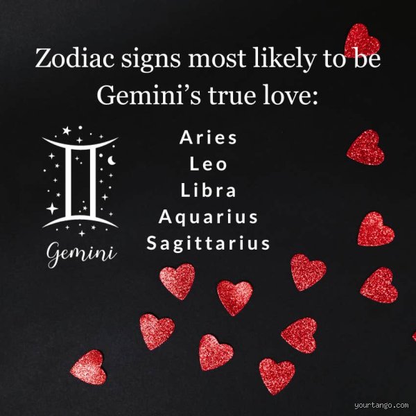 Decoding Cosmic Devotion: Which Zodiac Sign Are True Lovers in Modern Relationships?