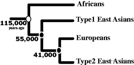 Mapping the Human Canvas: Are Asians Genetically Closer to Europeans or Africans?