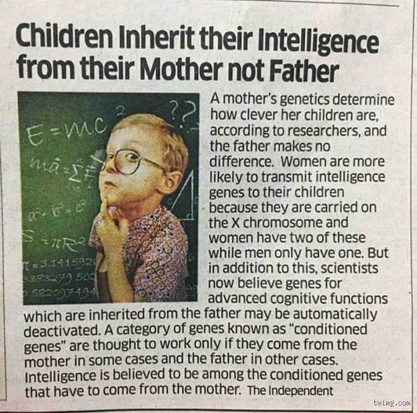 The Genetic Tug-of-War: Do Children Inherit Intelligence from Their Mother or Father?