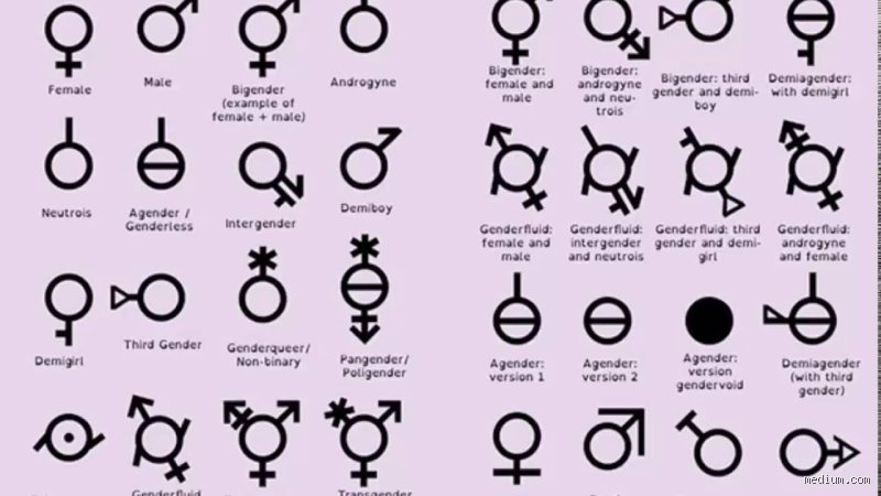 The Social Ledger: How Many Genders Are There According to Society Today?