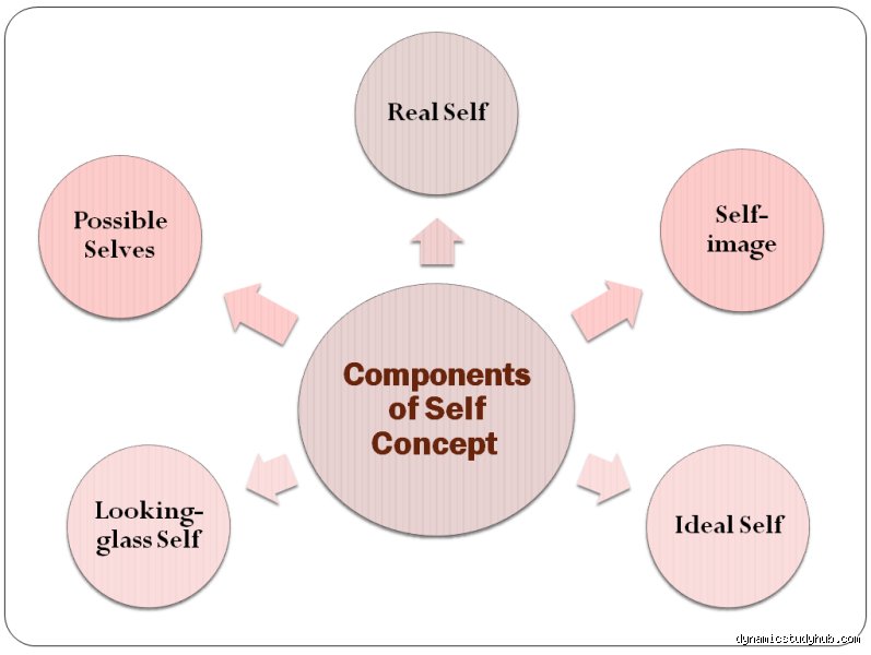 Navigating the Labyrinth of the Mind: How Many Types of Self-Concepts Are There in Modern Psychology?