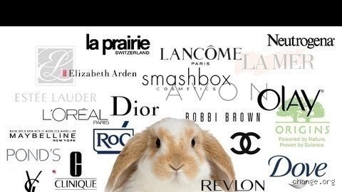 Decoding the Beauty Giant: What Animals Does Dior Test On and Why the Reality is Complicated