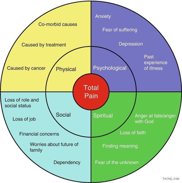 Beyond the Physical Ouch: What Are the 4 Dimensions of Pain and Why Medicine Fails by Ignoring Them