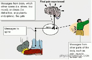 Beyond the Five Senses: Why Aristotle’s Theory of Pain Still Upsets Modern Neuroscience