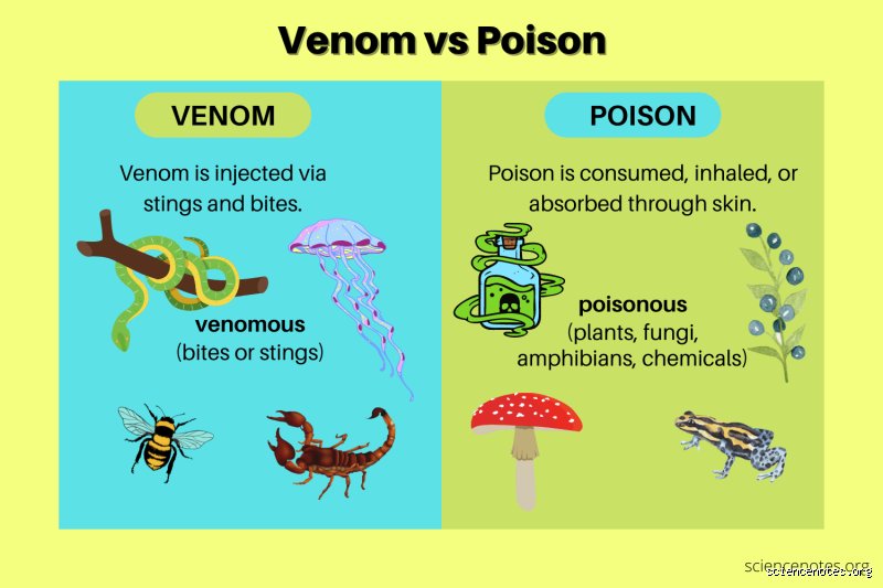 Biting or Being Bitten: What Is the Difference Between Toxic and Poisonous in Biological Warfare?