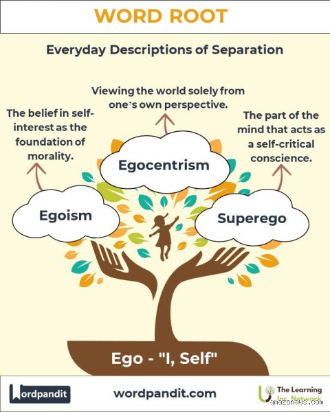 The Architecture of Identity: What Is the Root Cause of Ego and Why It Rules Your Mind