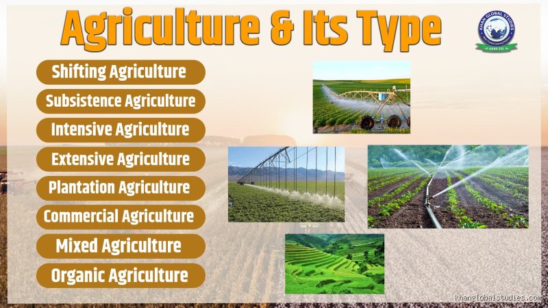 Which Type of Agriculture is the Best? Deciphering the Ultimate Farming Method to Feed Our Fragile Planet