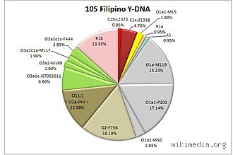What Is Filipino DNA Closest To? Unraveling Southeast Asian Ancestry Secrets