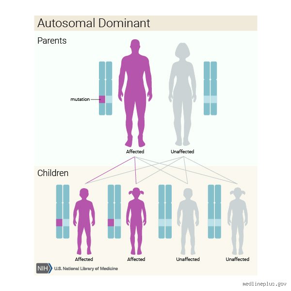 Decoding the Genetic Maze: Is Parkinson’s Inherited From Mother or Father?