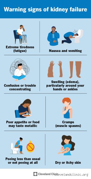 What are the first signs that your kidneys are failing?