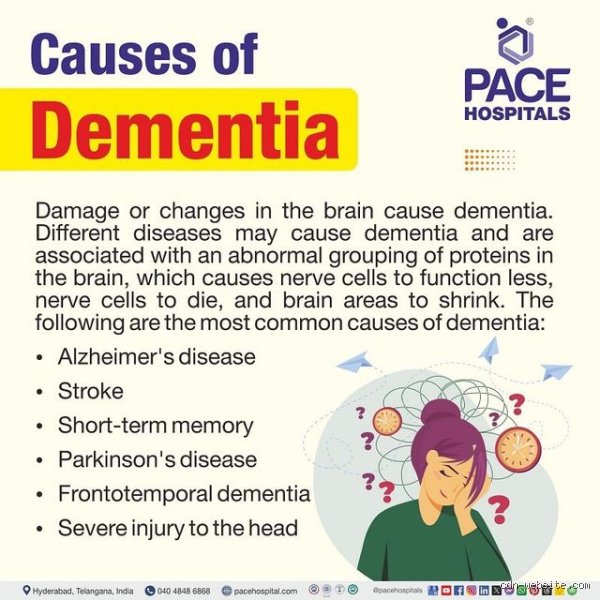 Demystifying Brain Decline: What two conditions may cause dementia in modern patients