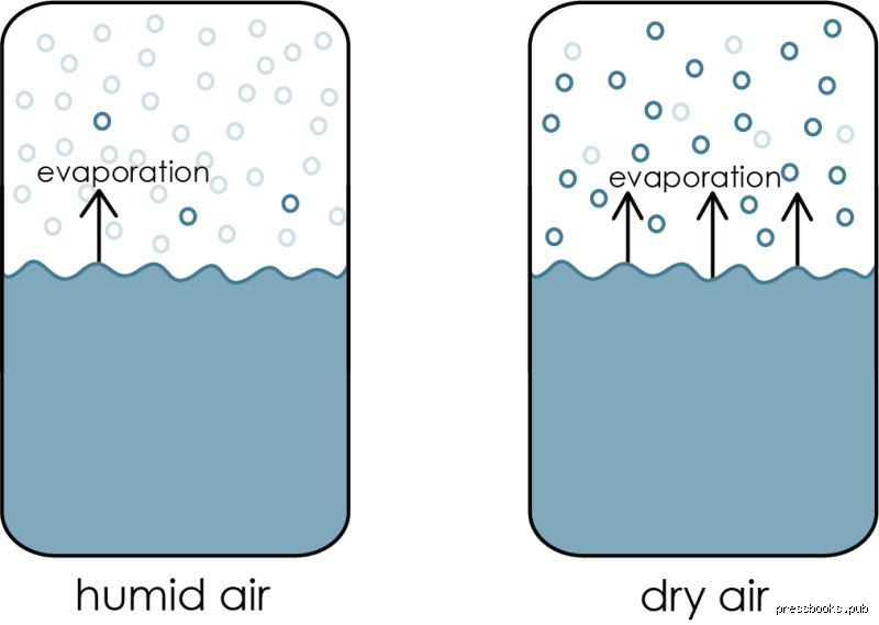 Does Humidity Affect Evaporation Rate and Why Water Disappears Faster on Dry Days
