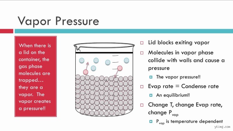 Demystifying the interplay: How Vapor Pressure governs Evaporation rates