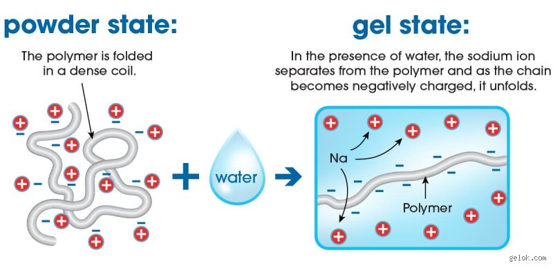 The Mind-Boggling Chemistry of Absorbency: How Much Water Can Sodium Polyacrylate Absorb in the Real World?
