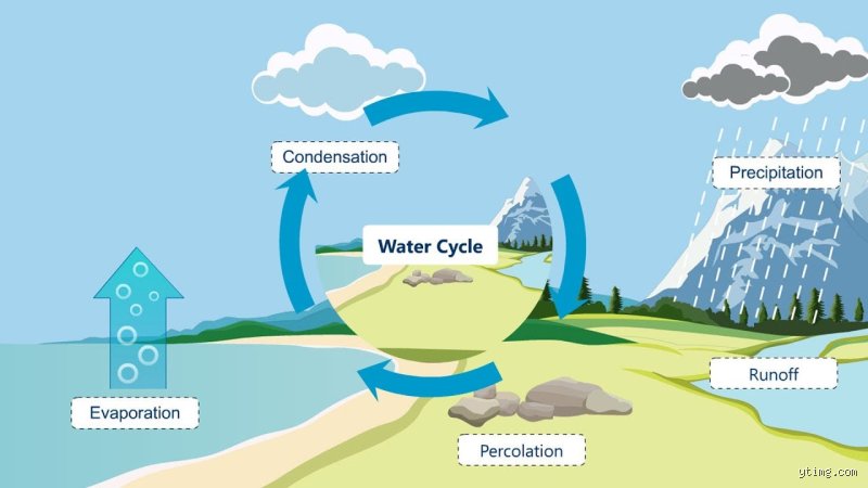 Why the Five Stages of Water Matter More Than the Standard Textbooks Ever Admitted