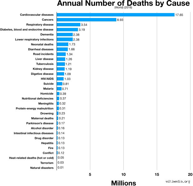 What are the quickest causes of death?