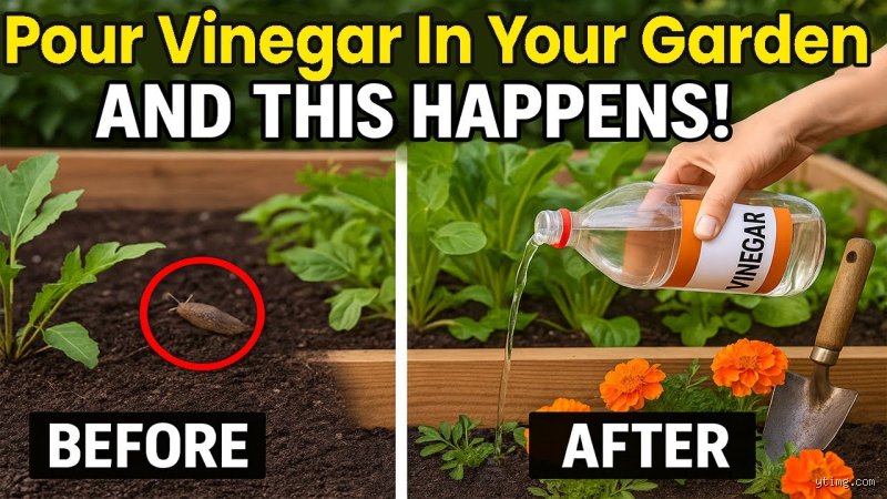 What happens when you pour vinegar on soil?