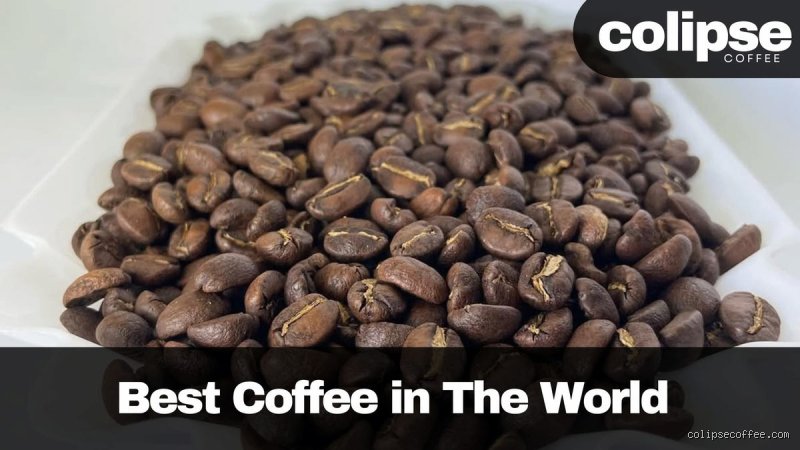 Where is the Highest Quality Coffee From? (Part 1: The Geography of Excellence)