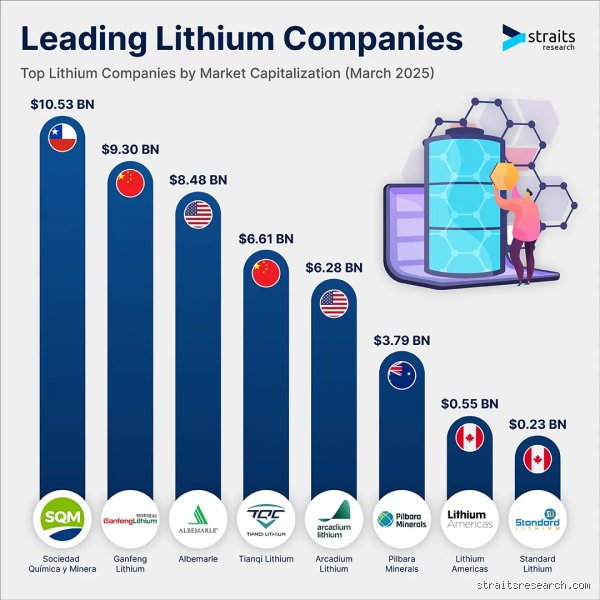 The Great White Gold Rush: Unmasking the Absolute Biggest Buyer of Lithium on Earth