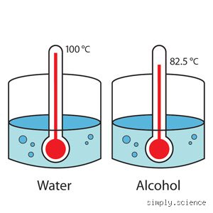 The Evaporation Race: Why Alcohol Disappears Faster Than Water in Real-World Tests
