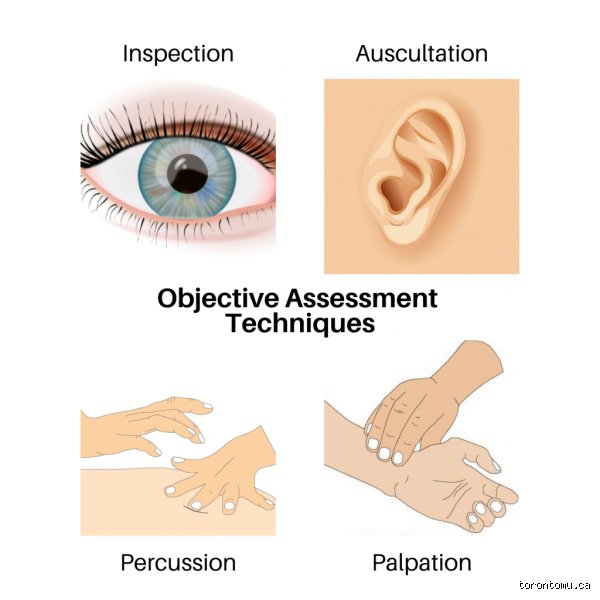 Mastering Clinical Assessment: What Are the Four Examination Techniques Every Practitioner Needs?