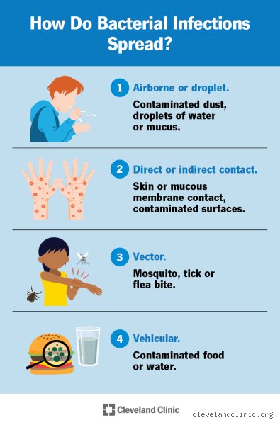The Invisible Fortress: What is the Hardest Bacterial Infection to Get Rid Of and Why Science is Losing the Turf War