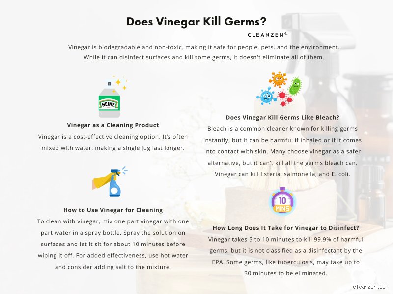 Does vinegar naturally kill bacteria effectively in modern household cleaning routines?