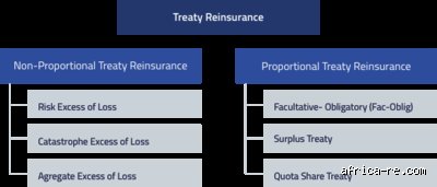 Behind the Balance Sheets: What Are the Four Types of Reinsurance Reshaping Corporate Risk?