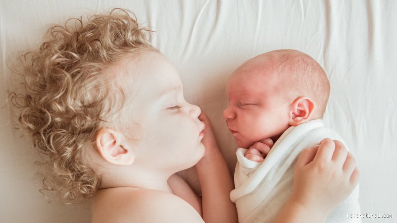 Double Trouble or Strategic Masterstroke? Decoding What "Dutch twins" Mean in Modern Global Commerce