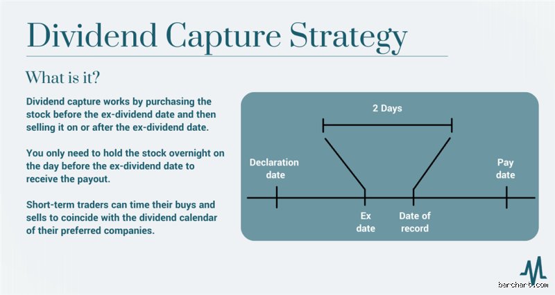 Decoding the Dividend Stripping Strategy: Wall Street’s Ultimate Shell Game or Valid Wealth Maximization?