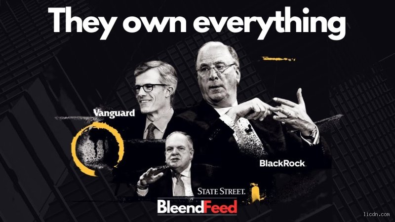 Who Are the Big 3 BlackRock? The Power Behind the Throne