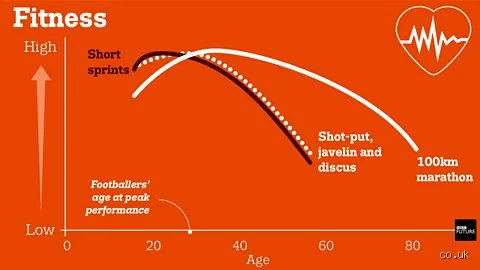 Decoding the Biological and Social Peak: At What Age Is a Man's Prime Truly Realized?
