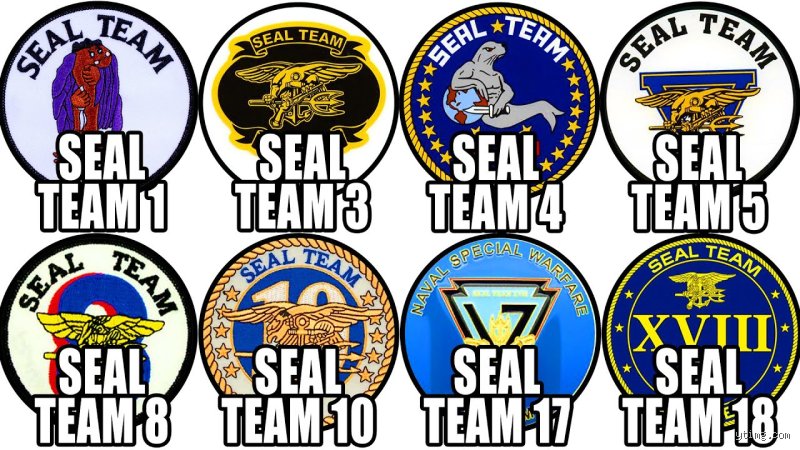 How Many SEAL Teams Are There Really? Uncovering the True Structure of Naval Special Warfare