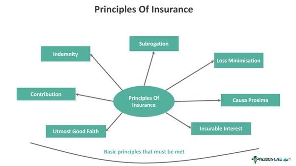 Why Your Safety Net Fails Without Understanding What Are the 5 Basic Principles of Insurance