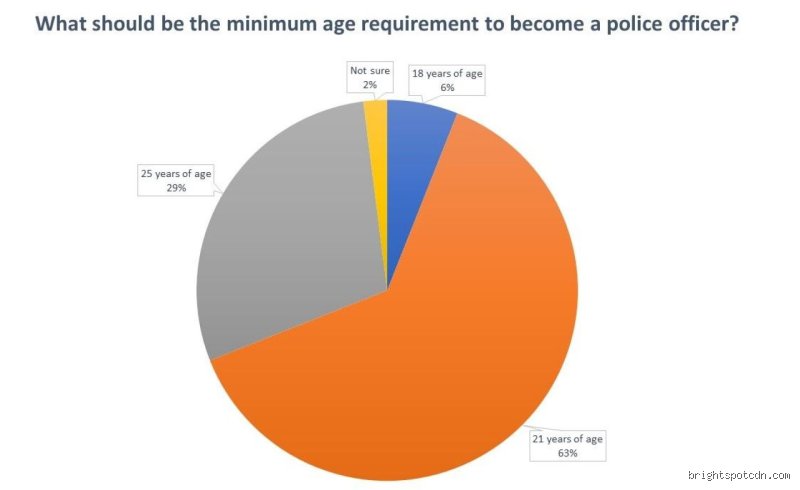 Demystifying the Badge: What Is the Minimum Requirement to Be a Police Officer in America Today?