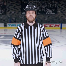 Reading the Ice: What Is the NHL Rule on Hooking and Why It Drives Coaches Insane