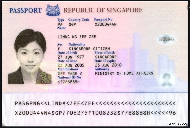 Decoding the Official Identity Matrix: What Name Appears on a Passport and Why It Triggers Chaos
