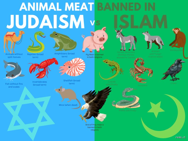Beyond the Myth of the Monolithic Menu: Do Muslims Eat Lamb or Goat in Daily Life?