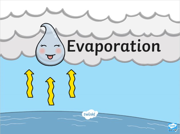 The Art of the Disappearing Puddle: How to Explain Evaporation to a Kid Without Losing Your Mind