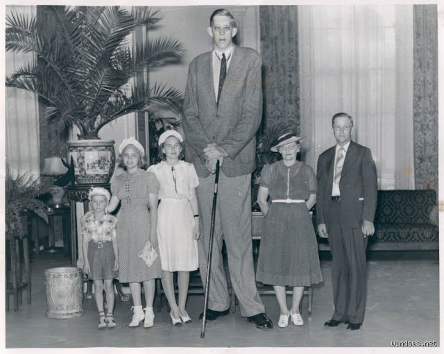 The Truth About Human Growth: Is Anyone Over 9 Feet Tall Right Now?