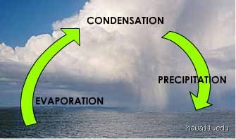 Why the Weather Channel Lies to You: Is Evaporation Faster on a Cloudy Day?