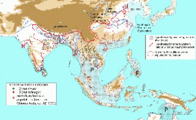 The Great Botanical Detective Story: Is Rice Originally From India or Did It Come From Somewhere Else?