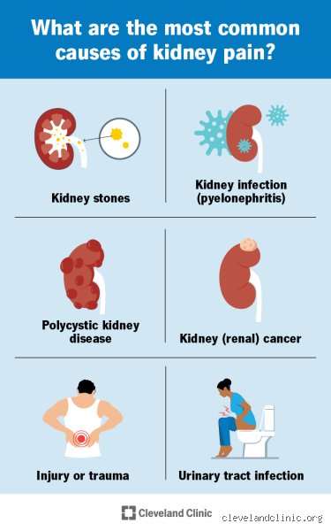 Where do you feel kidney pain?