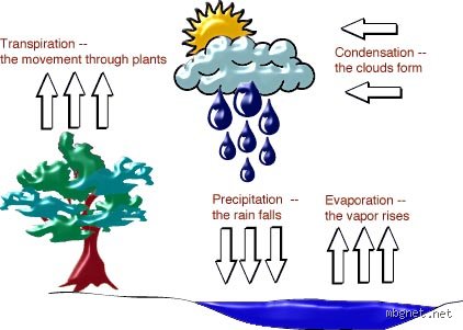 Which process forms evaporates?