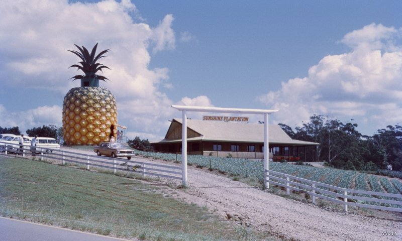 The Strange Eclipse of a Sunshine Coast Icon: Why Did the Big Pineapple Close Down and Lose Its Tropical Crown?