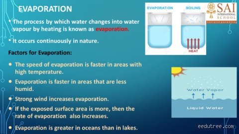 Why Does Water Disappear? The Unexpected Science Behind What Increases the Speed of Evaporation of Water