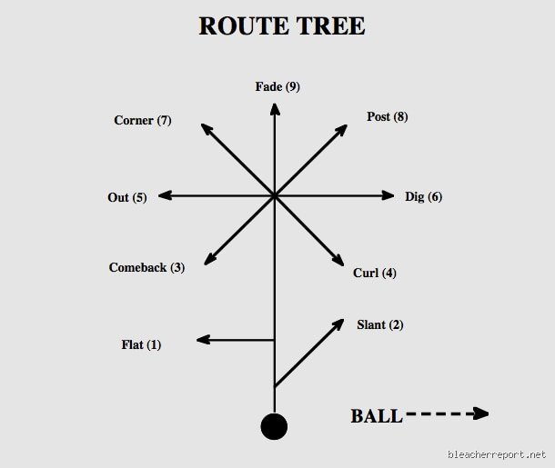 Decoding Blue 42: What Does Blue 42 Mean in the Chaos of Gridiron Strategy?