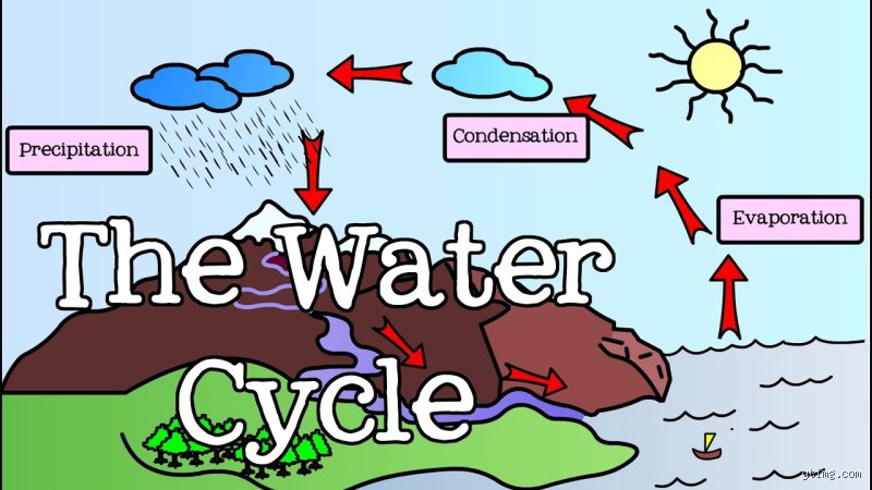 How do I explain the water cycle to my 7 year old without losing their attention completely?
