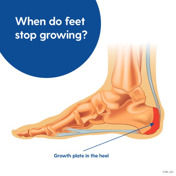 The Ultimate Parent’s Guide to Toddler and Teen Shoe Budgets: How Quickly Do Boys’ Feet Grow?